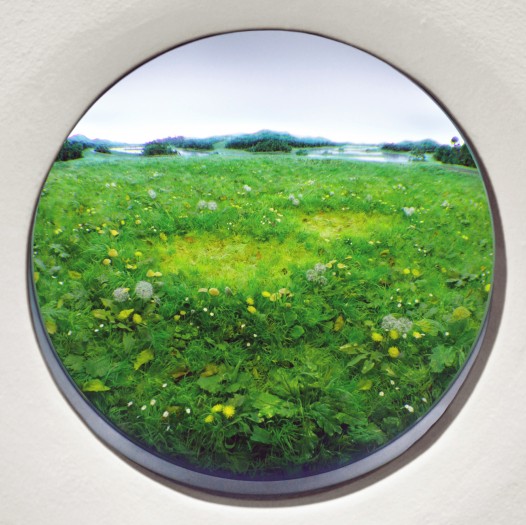 Double Fairy Ring by Patrick Jacobs