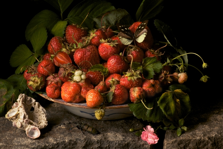strawberries2009