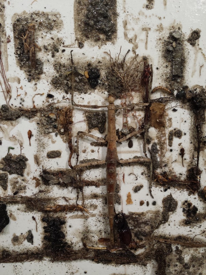 02015-10-09 17.03.14