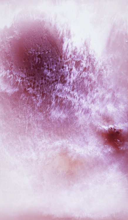 Raphael Hefti, From the series "Lycopodium", 2012 Photogram on color photopaper using the gently burning spores of the Lycopodium moss 71 3/10 × 41 7/10 in, 181 × 106 cm @RaebervonStenglin, Zürich